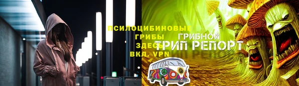 экстази Гусь-Хрустальный