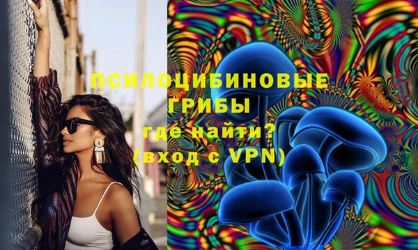 экстази Гусь-Хрустальный