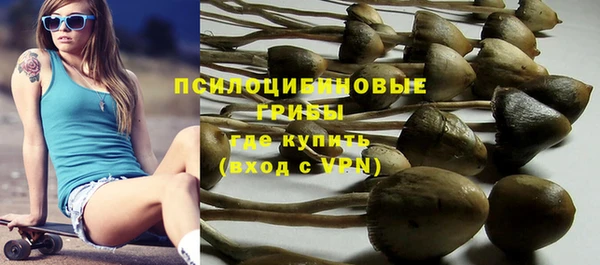 экстази Гусь-Хрустальный