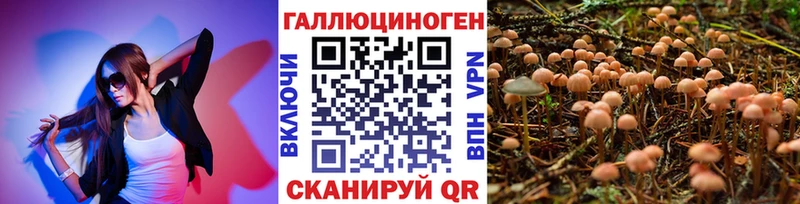 Купить  Руза  Псилоцибиновые грибы Cubensis 