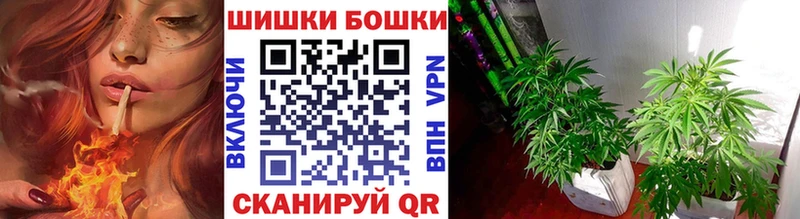 Купить  Руза  Бошки Шишки ГИДРОПОН 